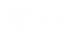 Logo Colybri Branca